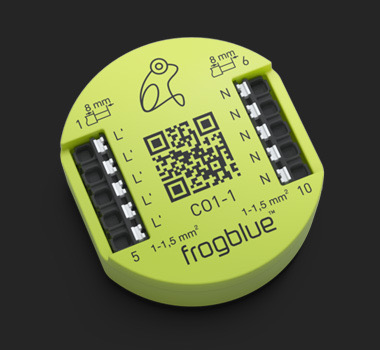 frogblue frogConnect1-1